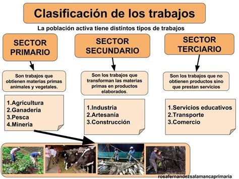 Sector Primario Secundario Y Terciario Ejemplos Actividades Para