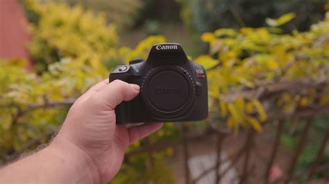 Canon Rebel T6 vs Canon Rebel T7? Which Is Better? - SKYES Media