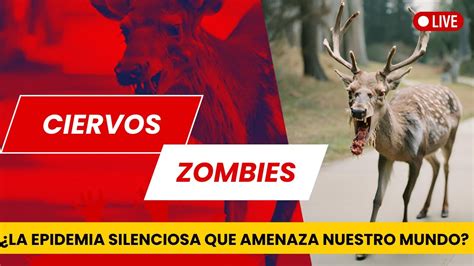 Alerta Enfermedad Del Ciervo Zombie La Epidemia Silenciosa Que