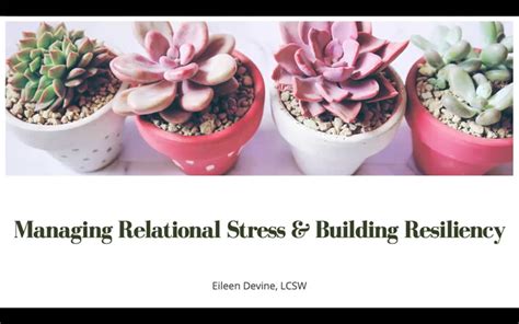 Managing Relational Stress And Building Resiliency Washington County