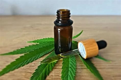 Los Beneficios Que Aporta El Aceite Cbd Para Tu Salud