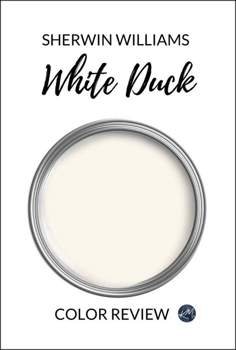 Sherwin Williams White Duck SW 7010 Paint Color Review In 2024