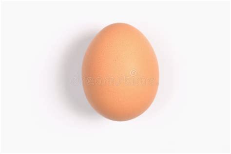 Single Egg Stock Image Image Of Priceless Eggs Investment 10353157