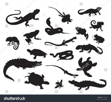 Vector Animals Silhouette 1 Stock Vector (Royalty Free) 7551868 | Shutterstock