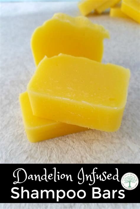 Dandelion Infused Shampoo Bar The Homesteading Hippy Homemade Soap Recipes Soap Recipes