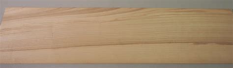 Olive Ash Timber Veneer 03 Australian Premier Veneers