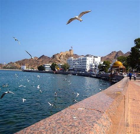 THE 15 BEST Things to Do in Muscat - 2022 (with Photos) - Tripadvisor