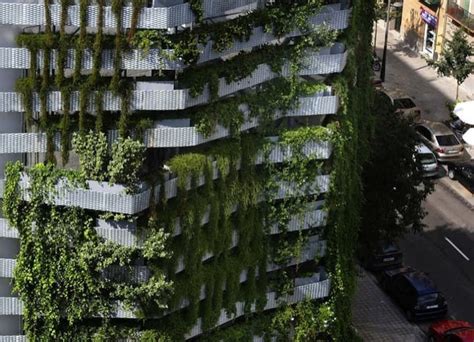 Vegitecture Fachada Con Jardín Vertical Para Tapar Una Fea Medianera