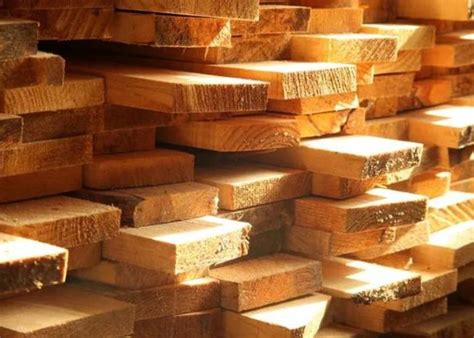 Can You Burn Pressure Treated Wood Aug Guide