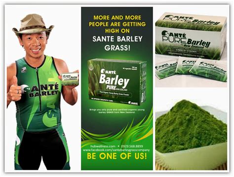 Sante Barley Authority: Barley Benefits Health