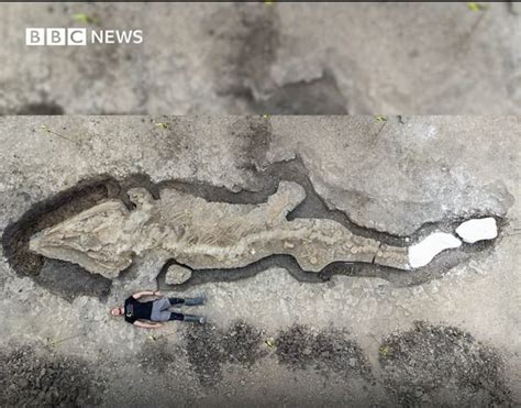 Giant 180 Million Year Old Sea Dragon Fossil Uncovered Rnaturewasmetal