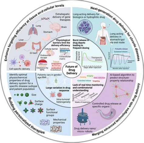 The Future Of Drug Delivery Chemistry Of Materials