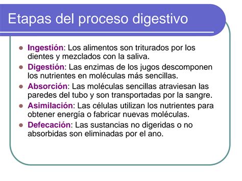 SOLUTION AnatomÍa y fisiologÍa del aparato digestivo Studypool