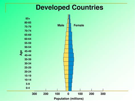 Agesex Pyramids Show The Proportion Of The Population Or Of Each Sex At Each Age Level Ppt