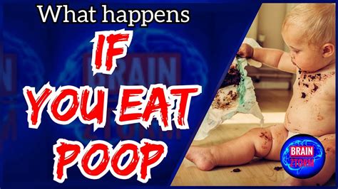 What Happens If You eat POOP ? | BRAIN ZTORM CONCEPTS - YouTube