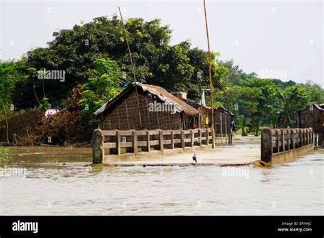 Bridge Collapsed Kosi River Flood Koshi Purnea Purnia District