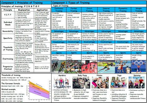 Gcse Pe Edexcel Principles Types Of Training Knowledge