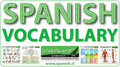 Vocabulario