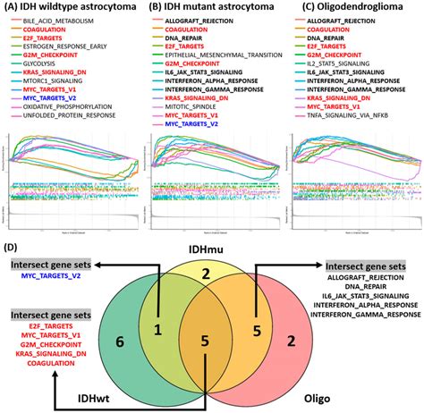 Gene Set Enrichment Analysis Gsea Ac From The Gsea Analyses We