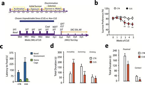 Top Cus Protocol And Sucrose Preference Test Spt Results A Timeline