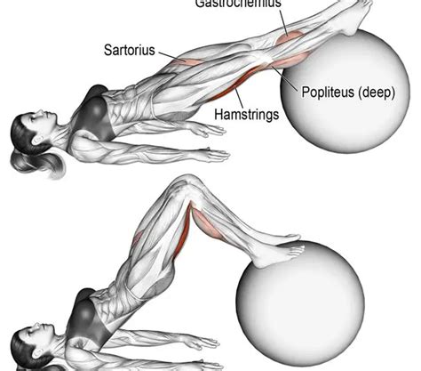 5 Must Have Hamstring Exercises For Jacked Legs Fitness Volt