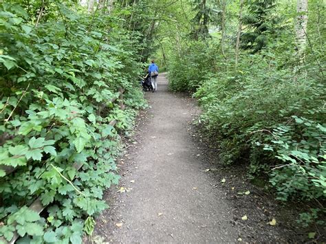 Piper's Creek Trail (Carkeek Park) - Rolling Washington