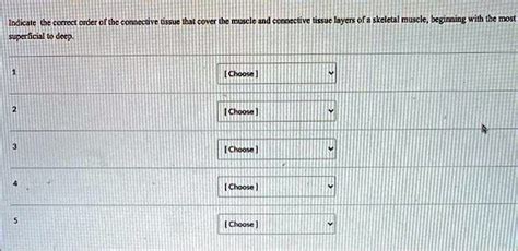 Answer Choices Are Deep Fascia Epimysium Endomysium Perimysium