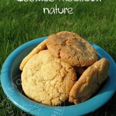 Cookies Moelleux Nature Guy Demarle