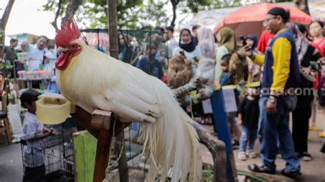 Menghabiskan Akhir Pekan Di Pameran Flona