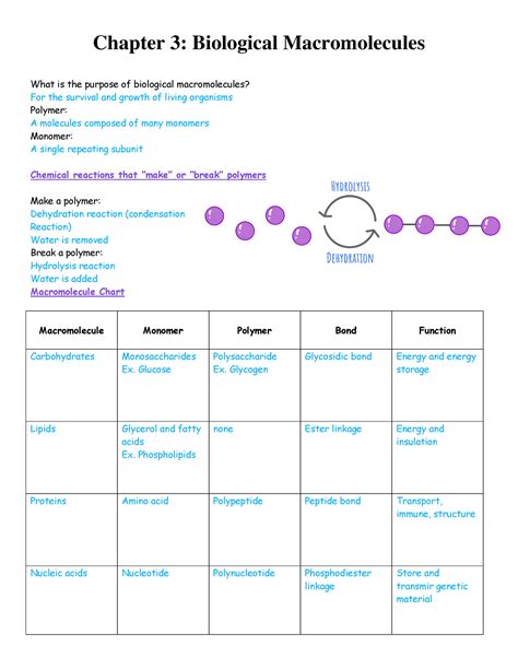 Biological Macromolecules