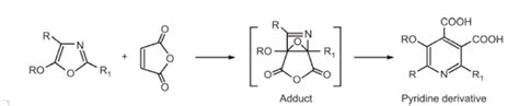 Alkyne dienophile