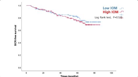 Biochemical Recurrence Bcr Free Survival According To Internal