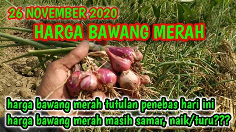 Harga Terbaru Info Harga Bawang Merah Hari Ini Di Pasar Induk