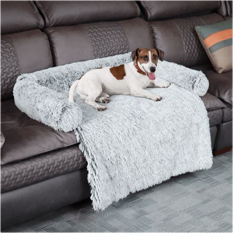 Couverture Plaid Pour Chien Comptoir Des Petits Chiens