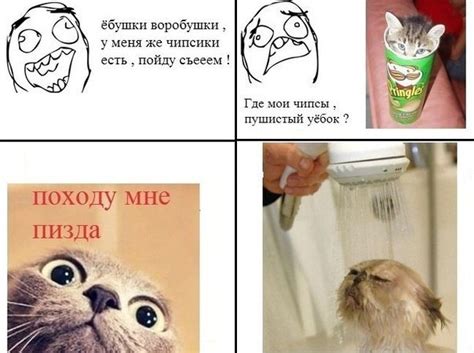 где мои чипсы?) | Пикабу