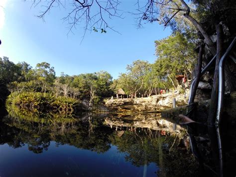 Cenote Jardín del Edén Guía de Cenotes