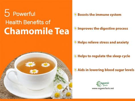 13 Best Benefits Of Chamomile Tea Organic Facts