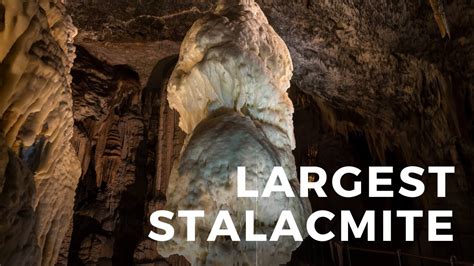 Largest Stalagmite Of The World Postojona Cave Slovenia Copyright