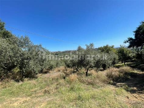 Terreno Agricolo Strada Sferrella Spoltore Rif