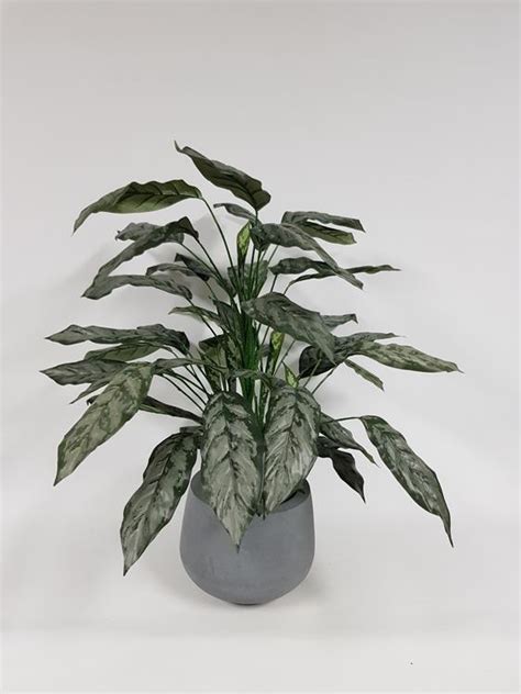 Artificial Silver Queen Plant 86cm Desflora