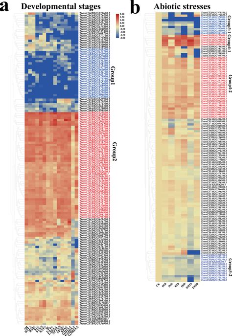 Transcriptome Analysis Of TaRING Zf Genes A Expression Profiles Of 138