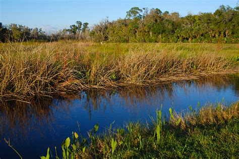 Lake Woodruff National Wildlife Refuge | Florida Hikes!