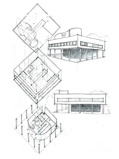 Villa Savoye Drawing By Masha C Fine Art America