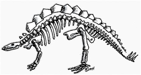 Dinosaur Skeleton Clipart - Free Download Images and Pictures