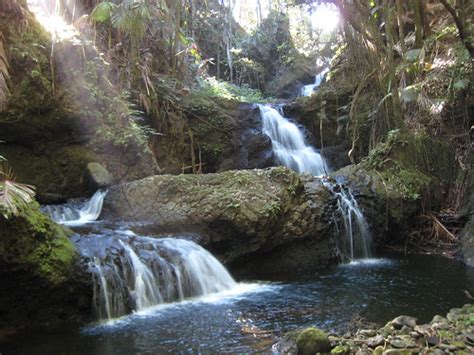 Oahu Botanical Garden Waterfall Oahu Waikiki Much Than Waimanalo - elesa1