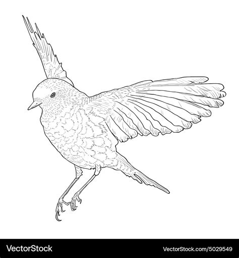 Soaring bird with spread wings hand drawn Vector Image