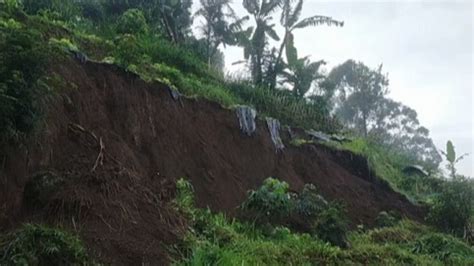 Tebing Setinggi Meter Di Jayagiri Lembang Bandung Longsor Hingga