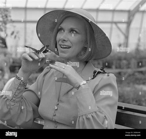 Butterfly In Greenhouse Black And White Stock Photos And Images Alamy