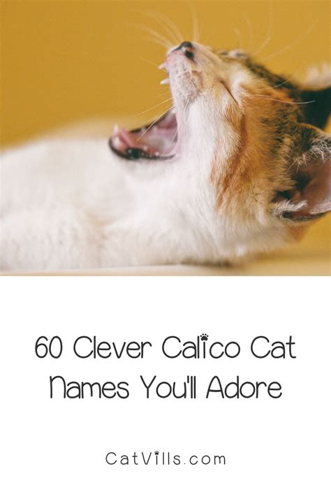 200 Clever Calico Cat Names You Ll Adore Calico Cat Names Cat Names Calico Cat