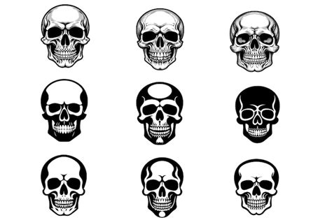 Premium Vector Skull Head Vector Illustration